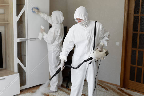 24/7 Emergency Odor Removal experts in Magnolia, AR